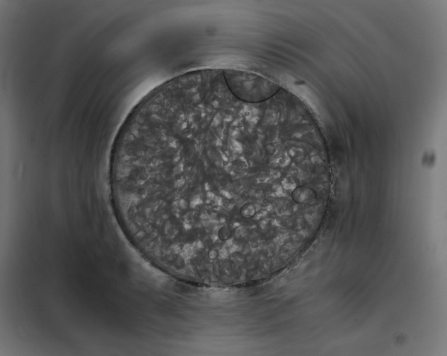 X0000101391087200807280932