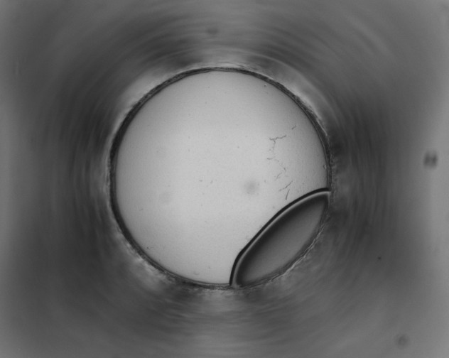 X0000101391088200807280932