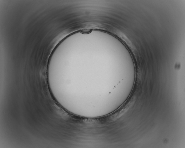 X0000101391089200807280932