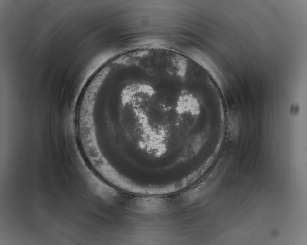 X0000101391090200807280932