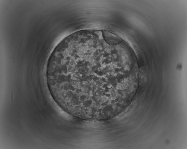 X0000101391091200807280932