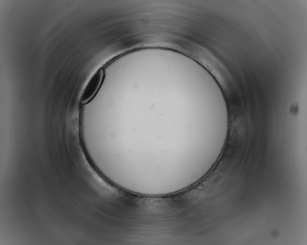 X0000101391092200807280932