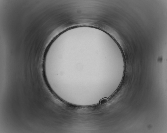 X0000101391093200807280932