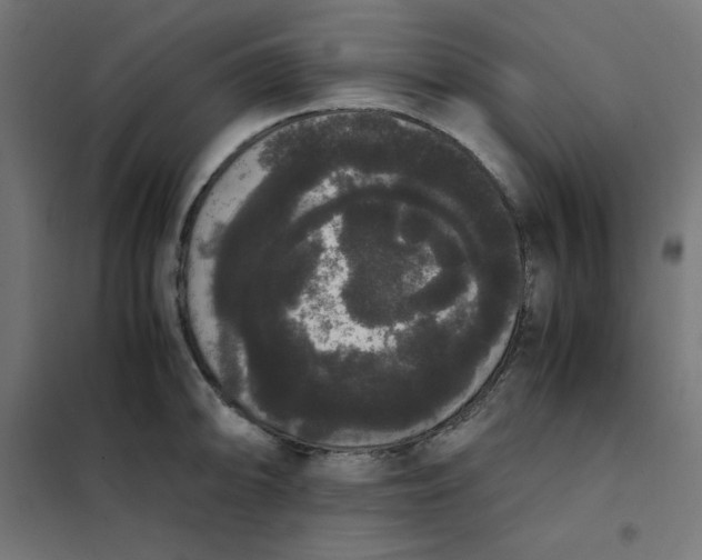 X0000101391094200807280932