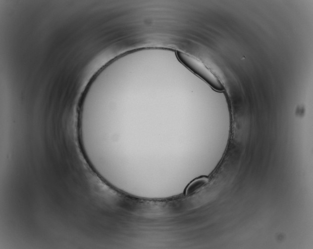 X0000101391096200807280932