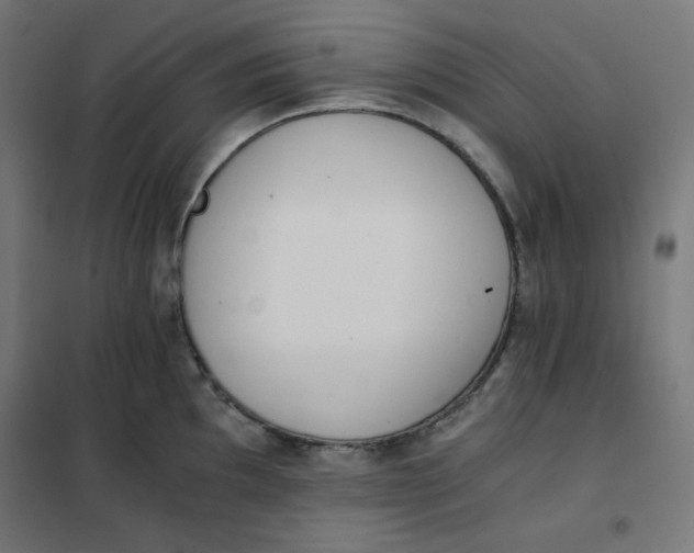 X0000101391097200807280932