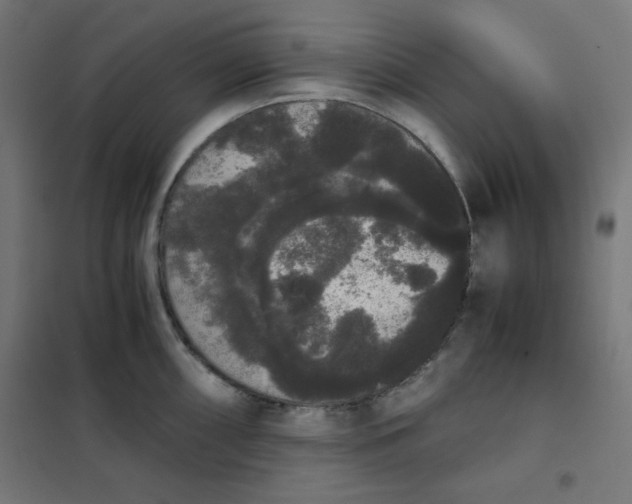 X0000101391098200807280932