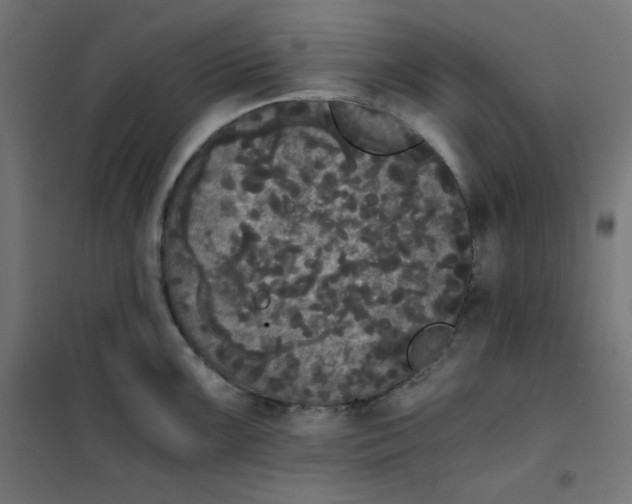 X0000101391099200807280932