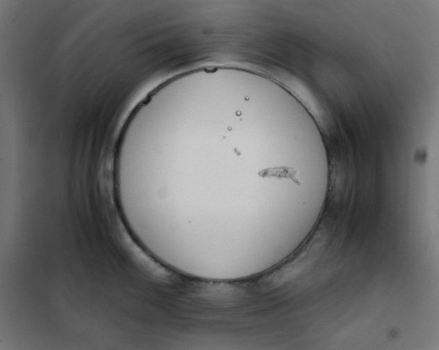 X0000101391100200807280932