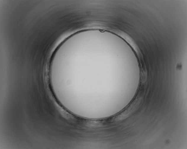 X0000101391101200807280932