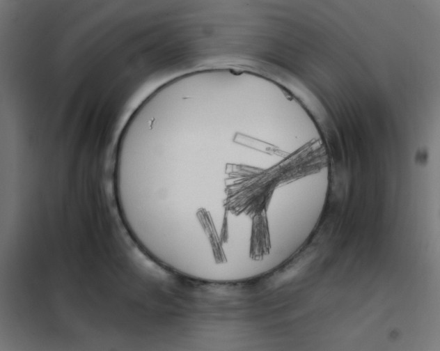 X0000101391102200807280932