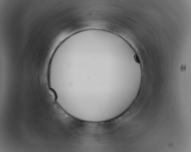 X0000101391104200807280932