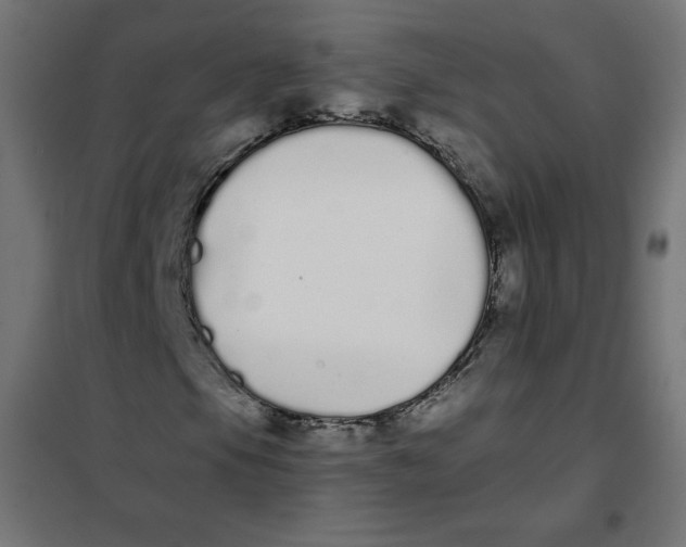 X0000101391105200807280931