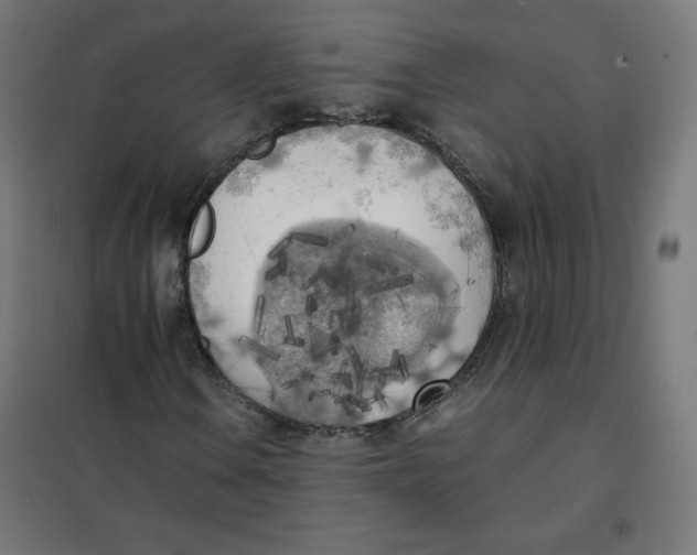 X0000101391106200807280931