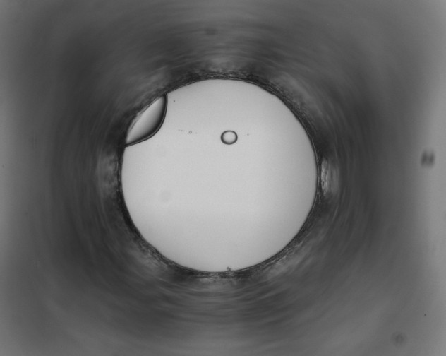 X0000101391107200807280931