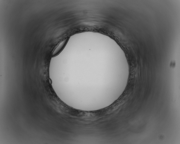 X0000101391109200807280931