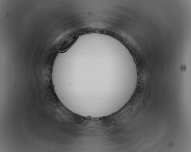 X0000101391110200807280931