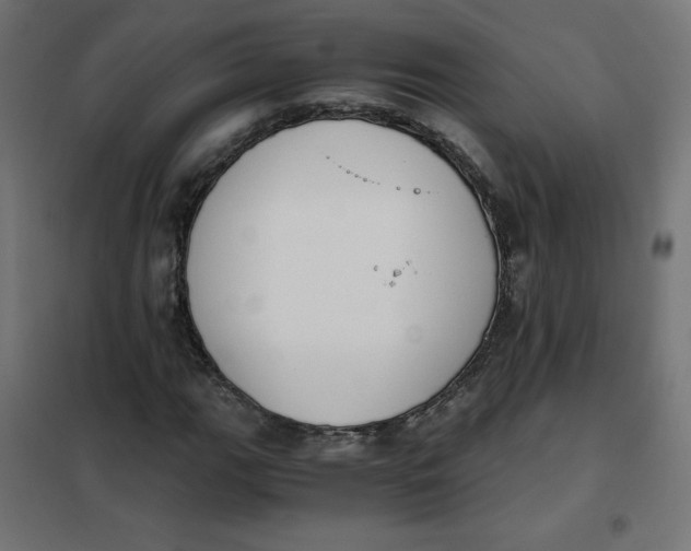 X0000101391111200807280931