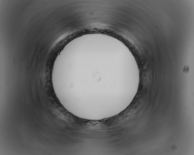 X0000101391112200807280931