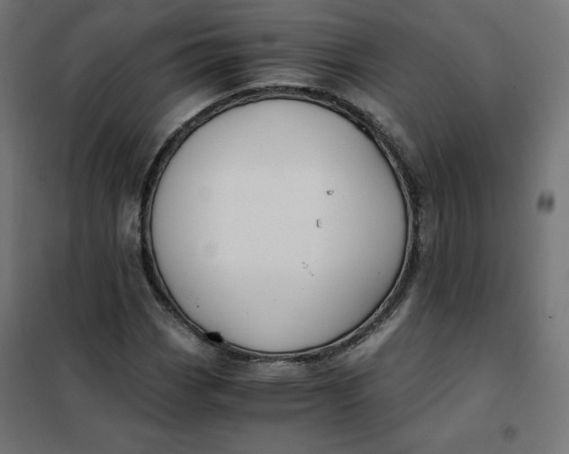 X0000101391113200807280931