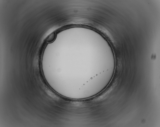 X0000101391114200807280931