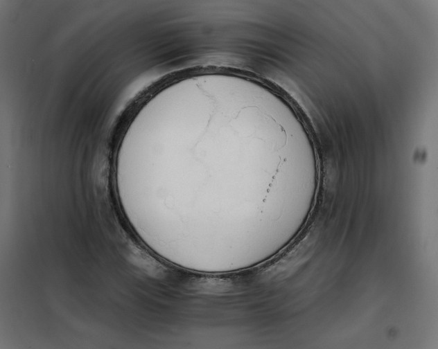 X0000101391115200807280931