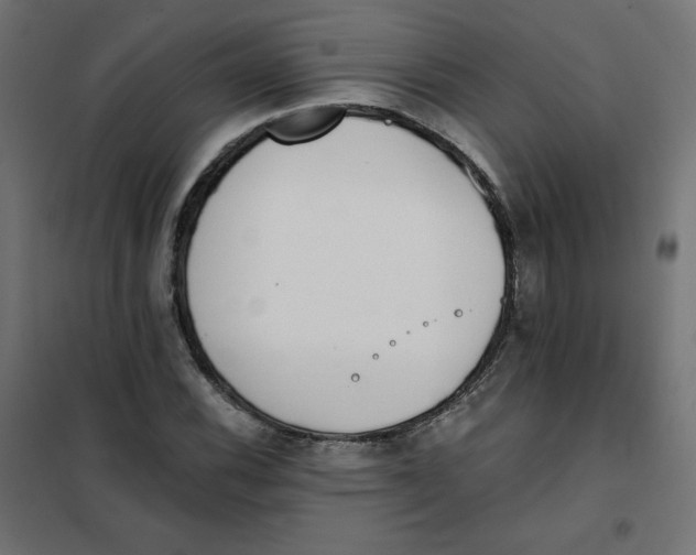 X0000101391116200807280931