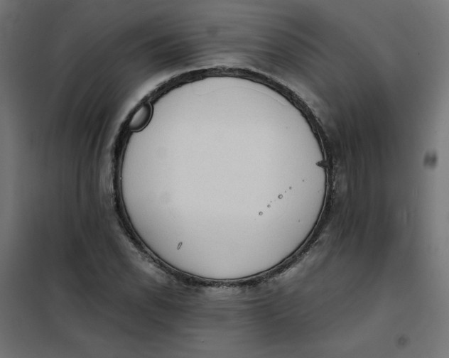 X0000101391118200807280931