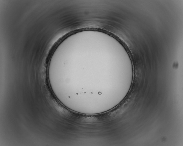 X0000101391119200807280931