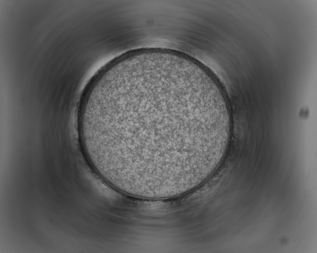 X0000101391120200807280931