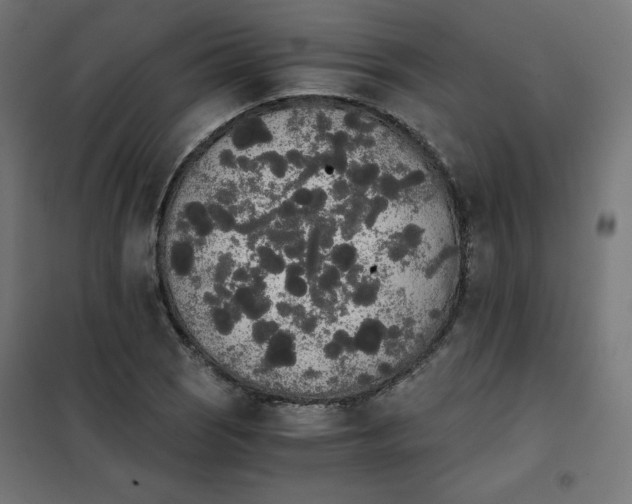 X0000101391121200807280931