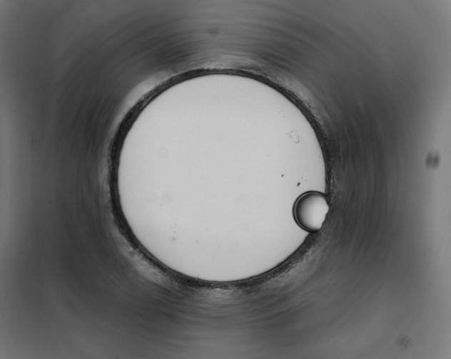 X0000101391122200807280931