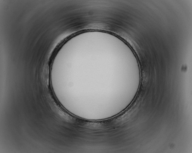 X0000101391123200807280931