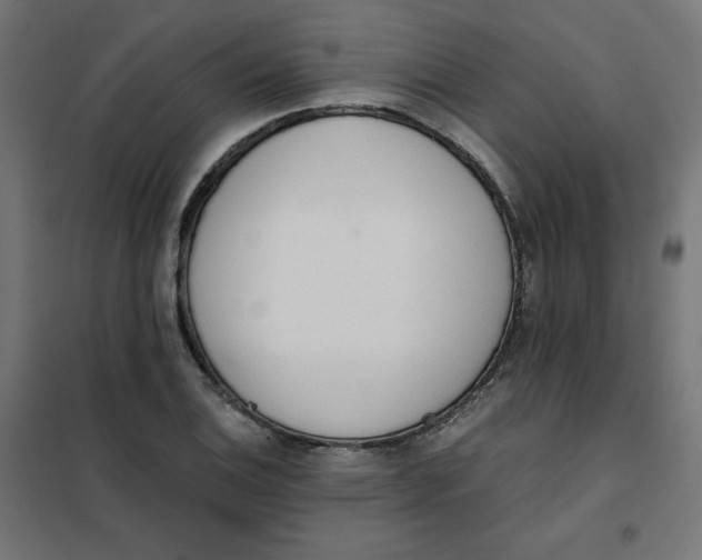 X0000101391124200807280932