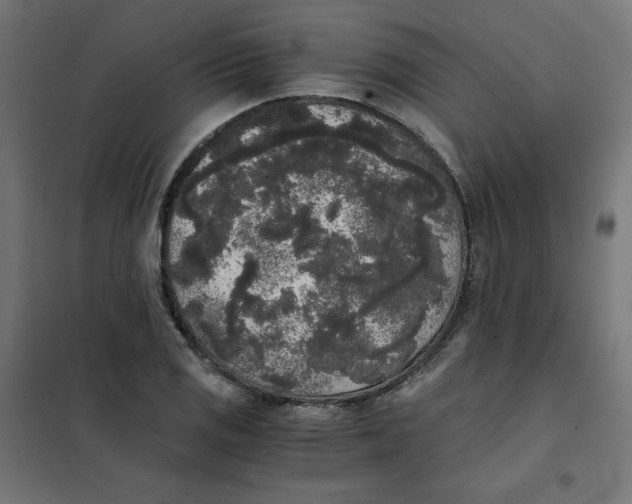 X0000101391125200807280932