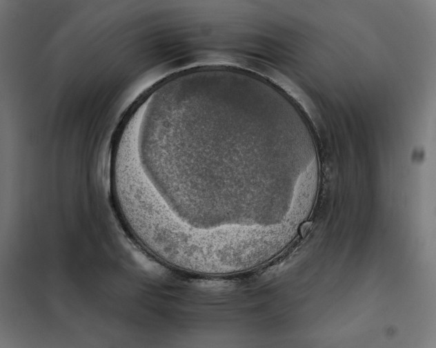 X0000101391127200807280932