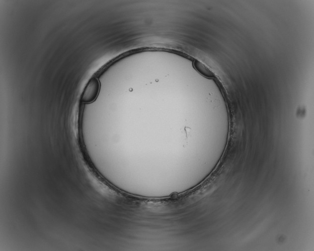 X0000101391128200807280932