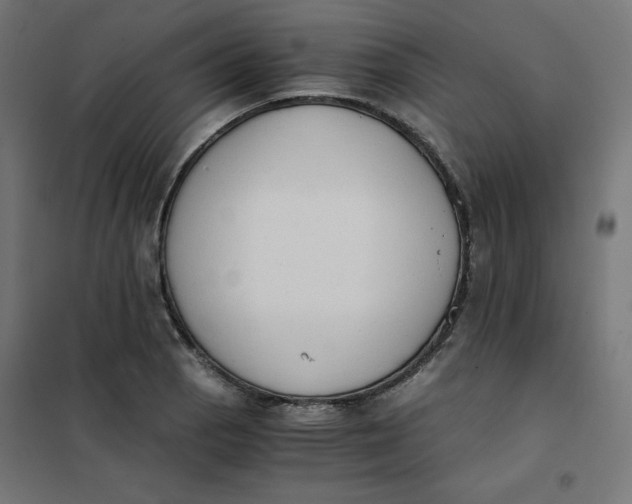 X0000101391129200807280932