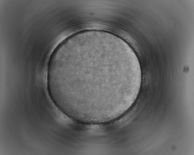 X0000101391130200807280932