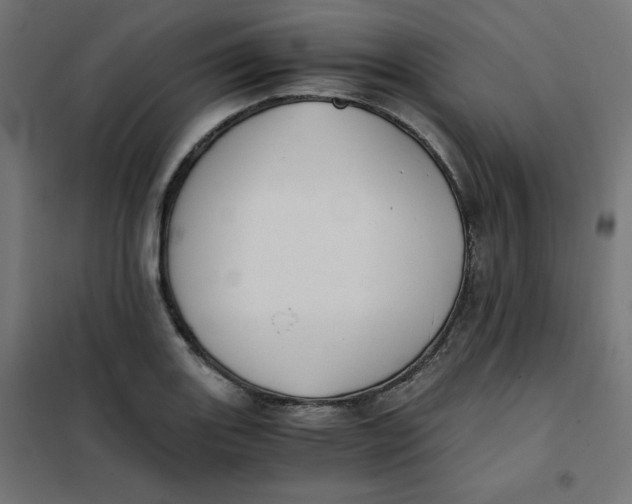 X0000101391131200807280932