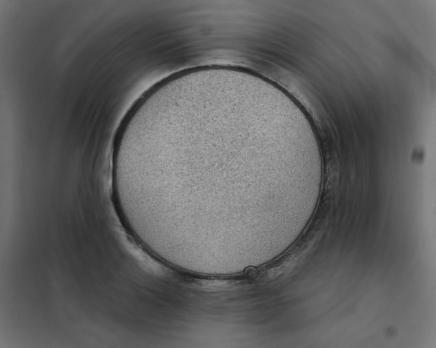 X0000101391132200807280932