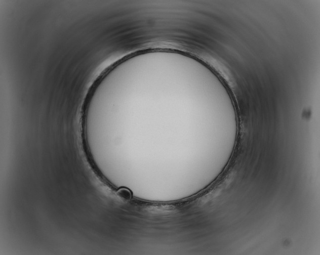 X0000101391133200807280932