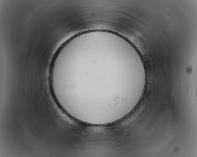 X0000101391134200807280932