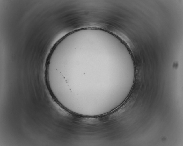 X0000101391135200807280932