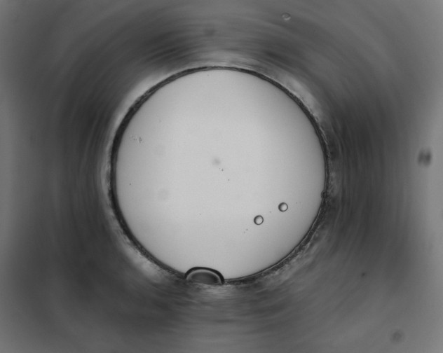 X0000101391136200807280932