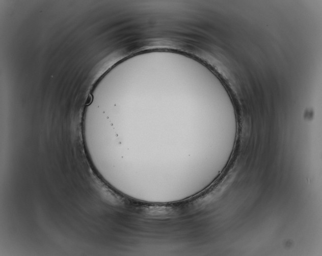 X0000101391137200807280932