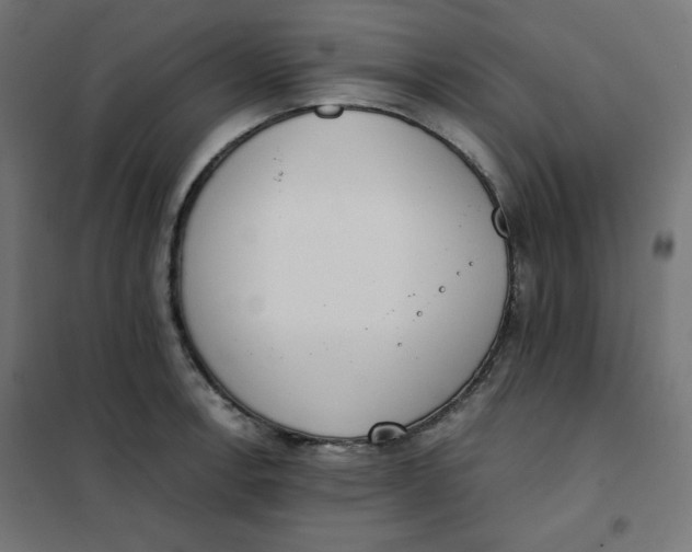 X0000101391138200807280932