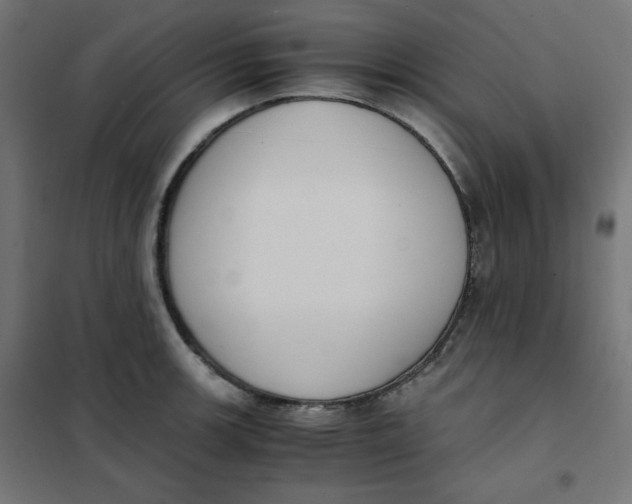 X0000101391139200807280932