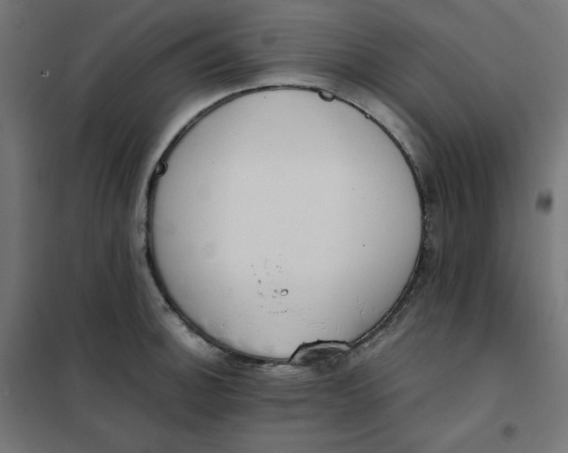 X0000101391140200807280932