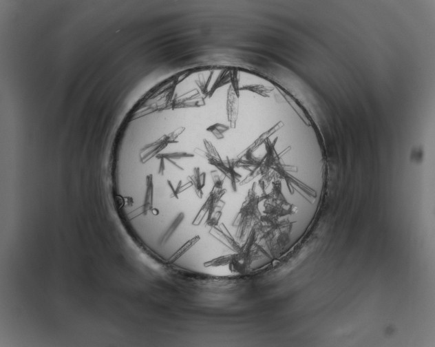 X0000101391141200807280932